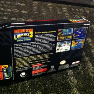 Donkey-Kong-Country-3-2-