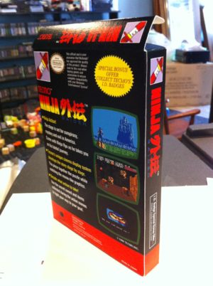Ninja Gaiden - Image 2